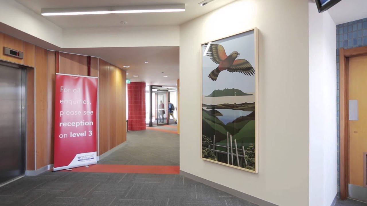 History of The University of Auckland Art Collection