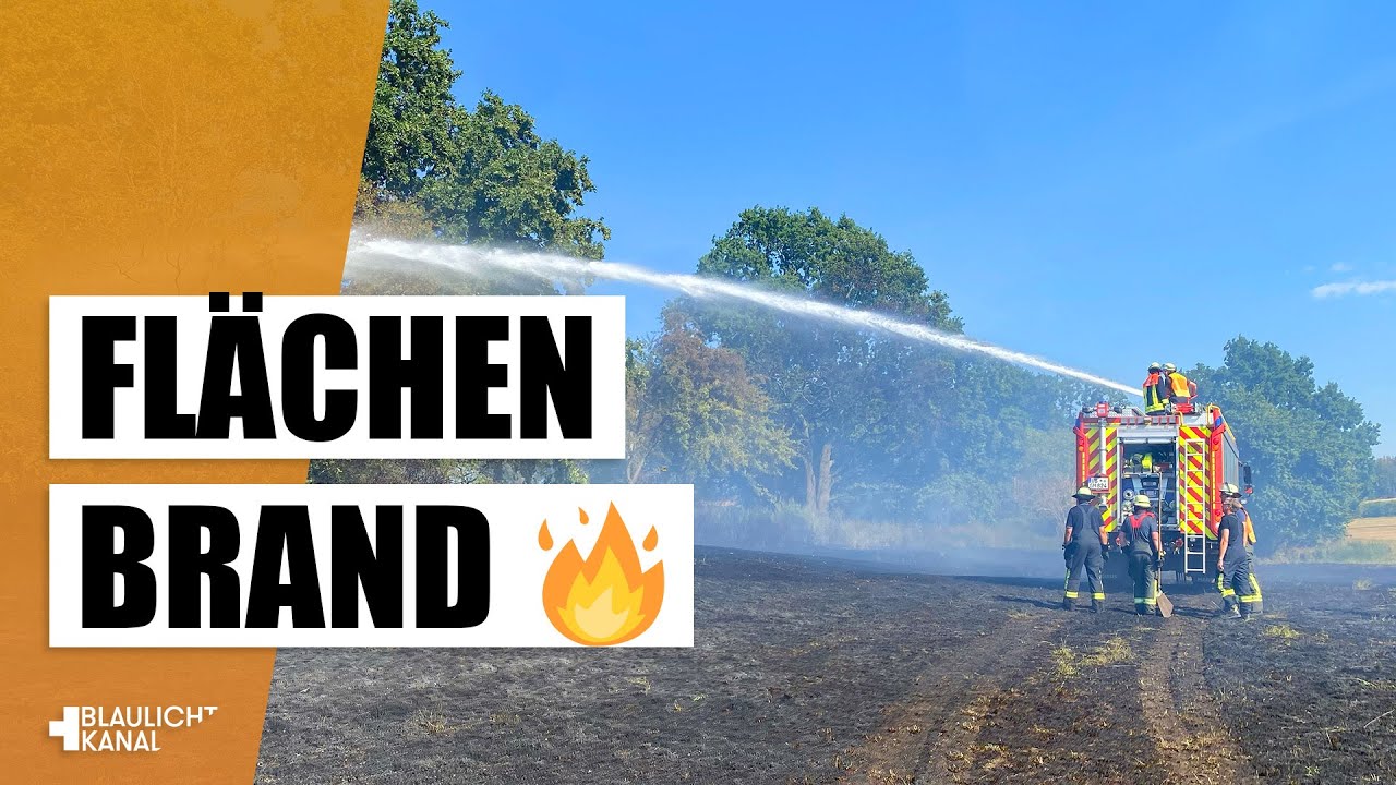 Im Einsatz mit der Feuerwehr Mücke! - Vegetationsbrand bekämpfen