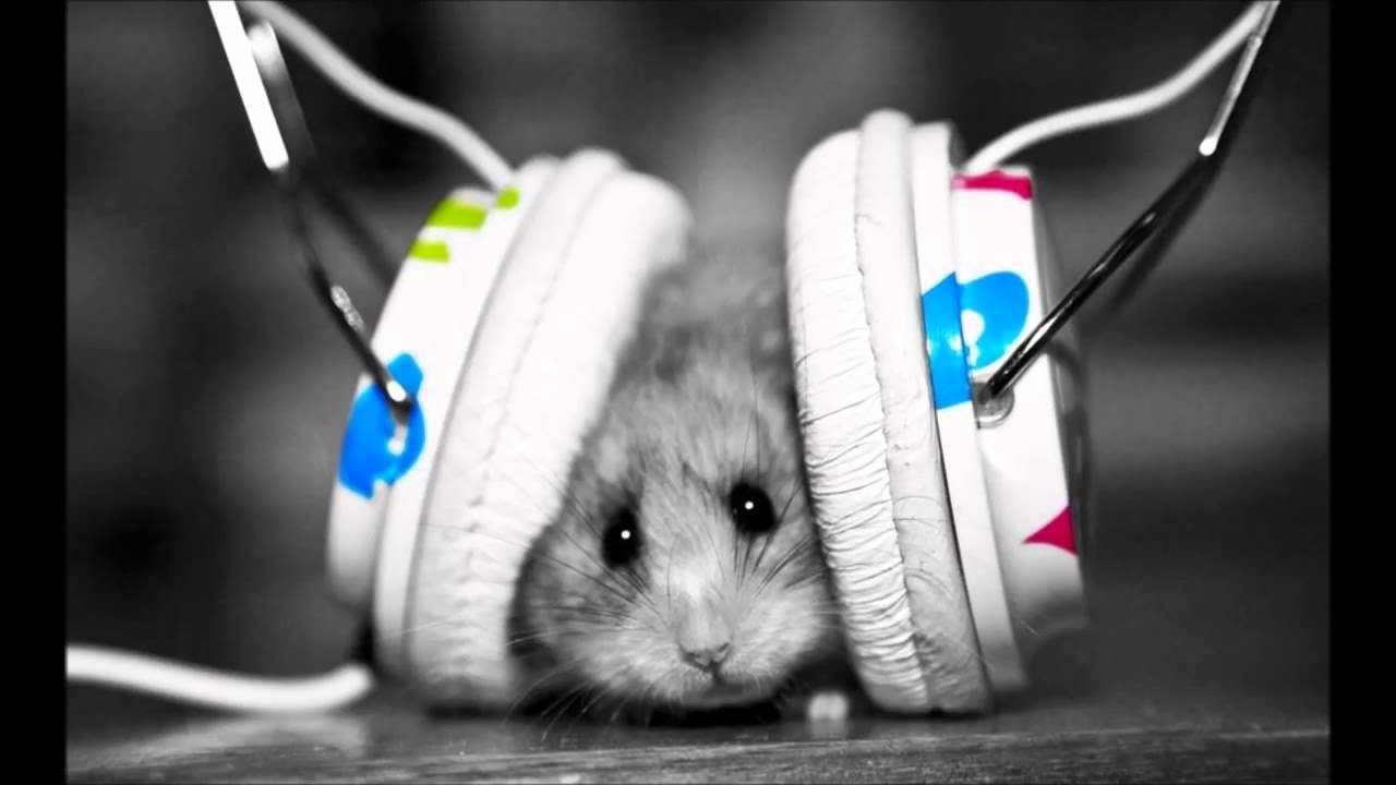 ★Best Dubstep Remixes of Popular Songs★2014★September★ Vol 2