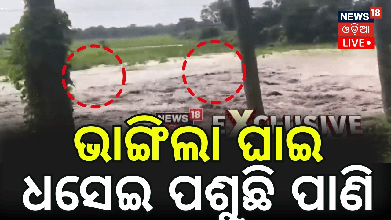 Live: Jajpur Flood Crisis ! ଭାଙ୍ଗିଲା ୫୦ ଫୁଟର ଘାଇ! Odisha Flood | Jajpur Flood | Kharasrota River