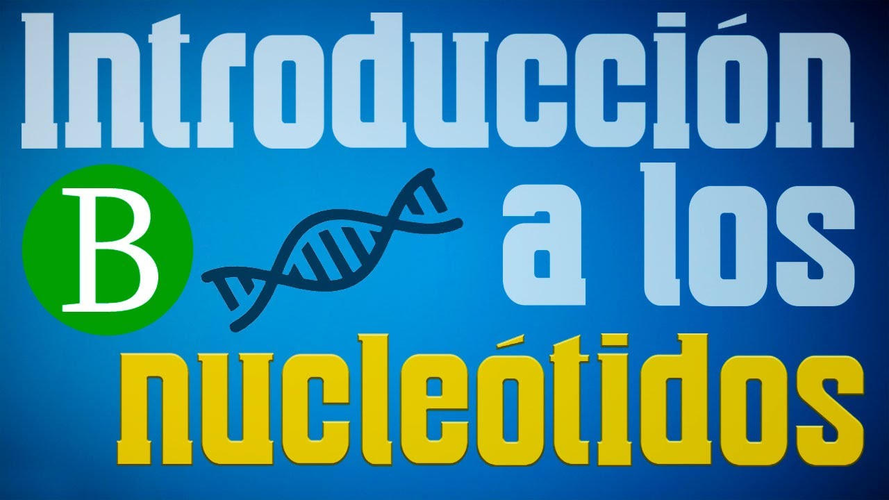 🧬 INTRODUCCIÓN A LOS NUCLEÓTIDOS Y ÁCIDOS NUCLEICOS | Biología desde cero