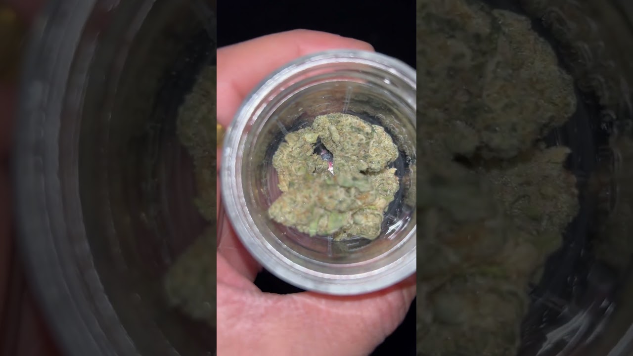 Binske flower￼ jungle pie #420 #510 #710
