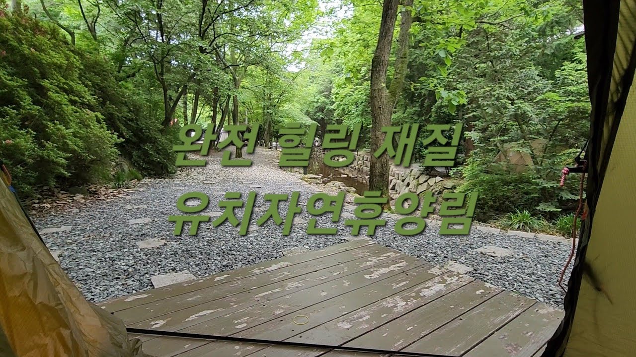 유치자연휴양림에서 힐링💚