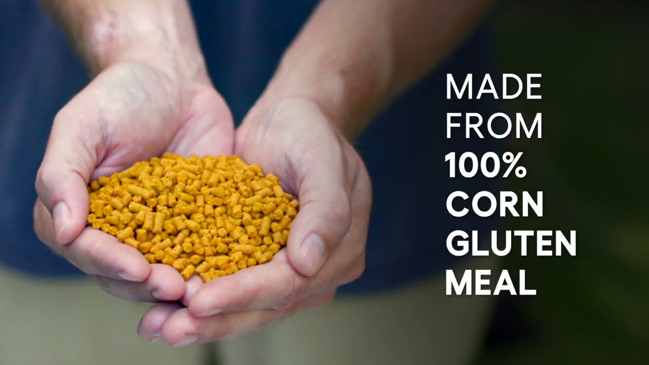 Scotts&reg; Turf Builder&reg; Weed & Feed