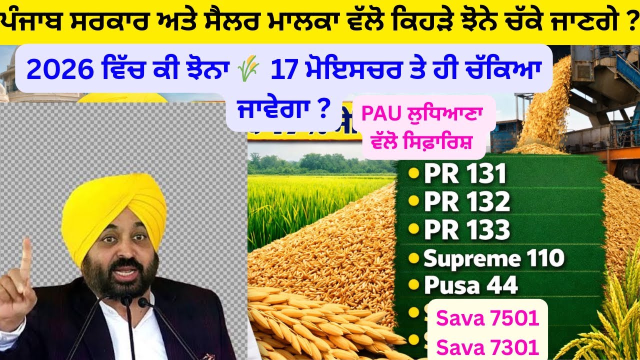 ਸੈਲਰ ਮਾਲਕ ਅਤੇ ਪੰਜਾਬ ਸਰਕਾਰ 2026 ਕਿਹੜਾ ਝੋਨਾ 🌾 ਚੱਕਣਗੇ ? ਵੱਧ ਝਾੜ ਵਾਲੀ ਕਿਹੜੀ ਕਿਸਮ ? #paddy #seed #variety