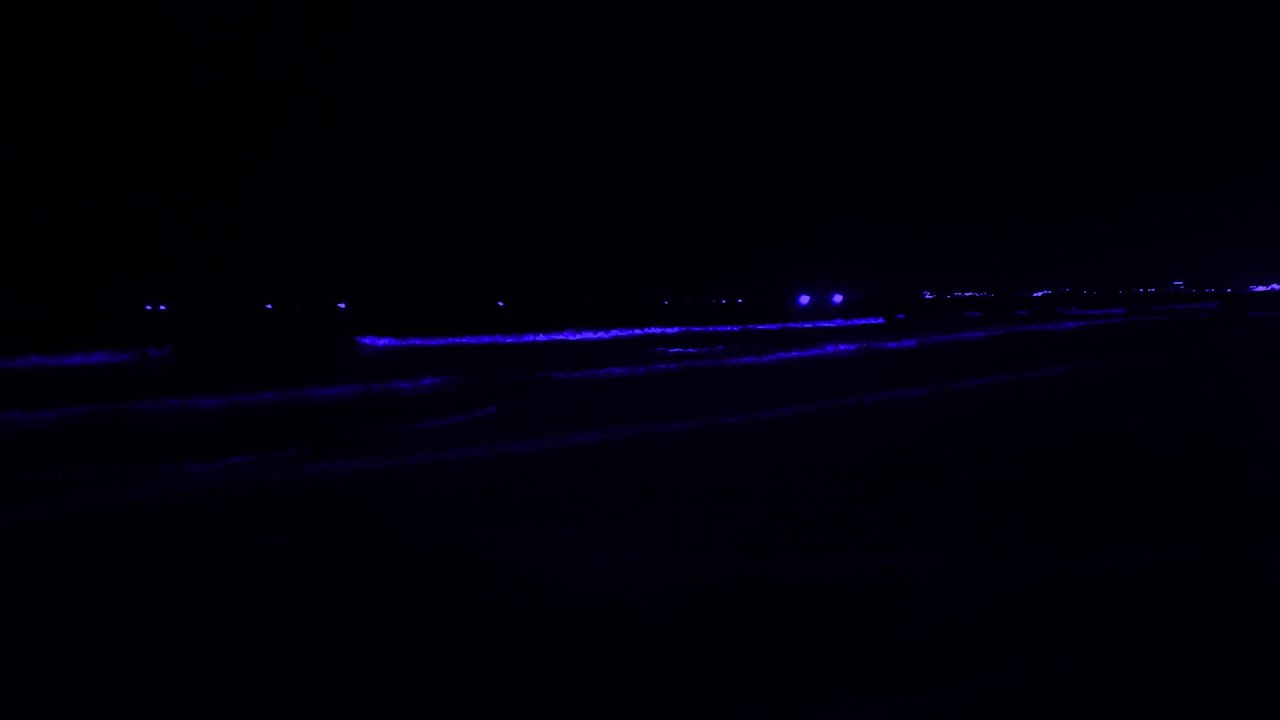 10 Hours of Dark Screen Ocean Sounds for Deep Sleep/ Santa Monica Beach