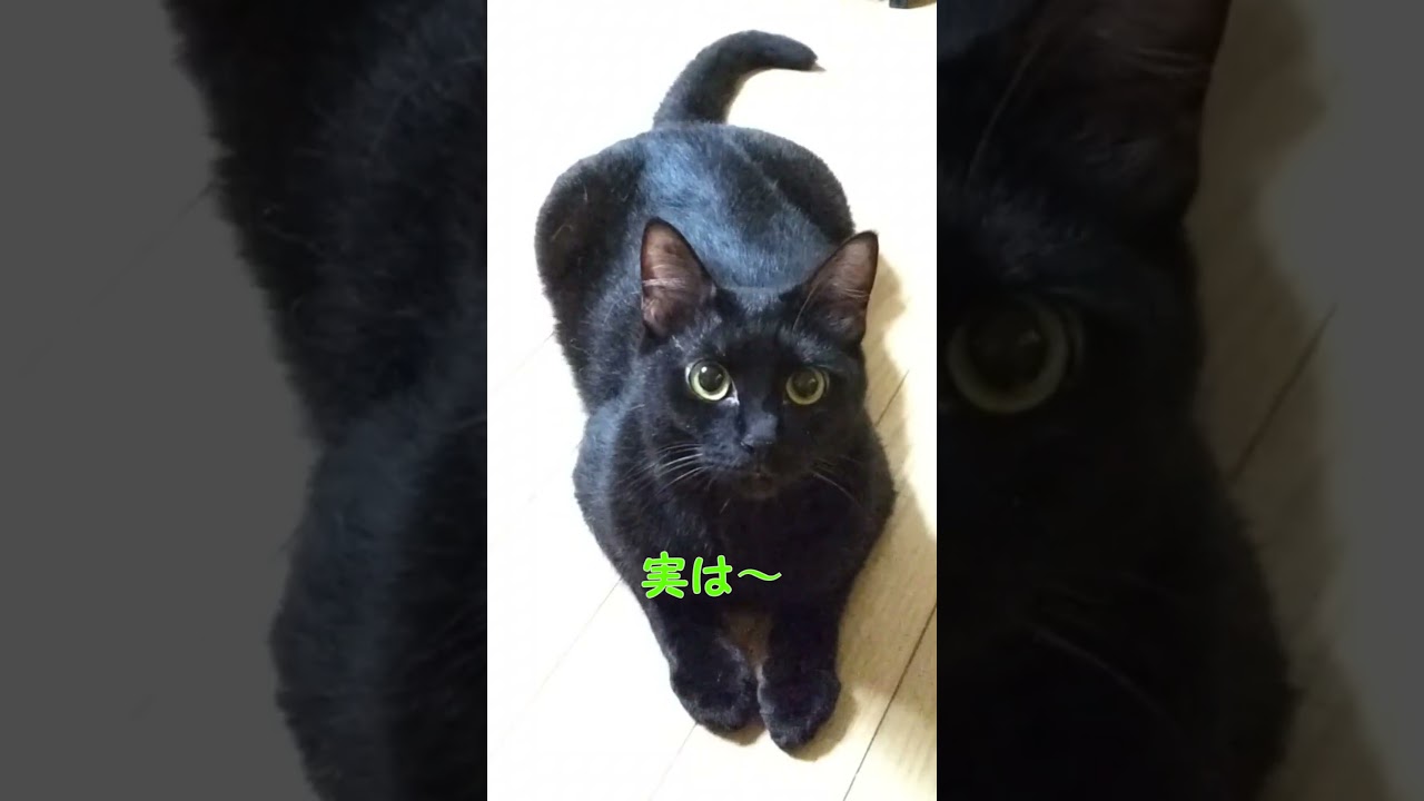 いつもと違うコムタ、気づいた？