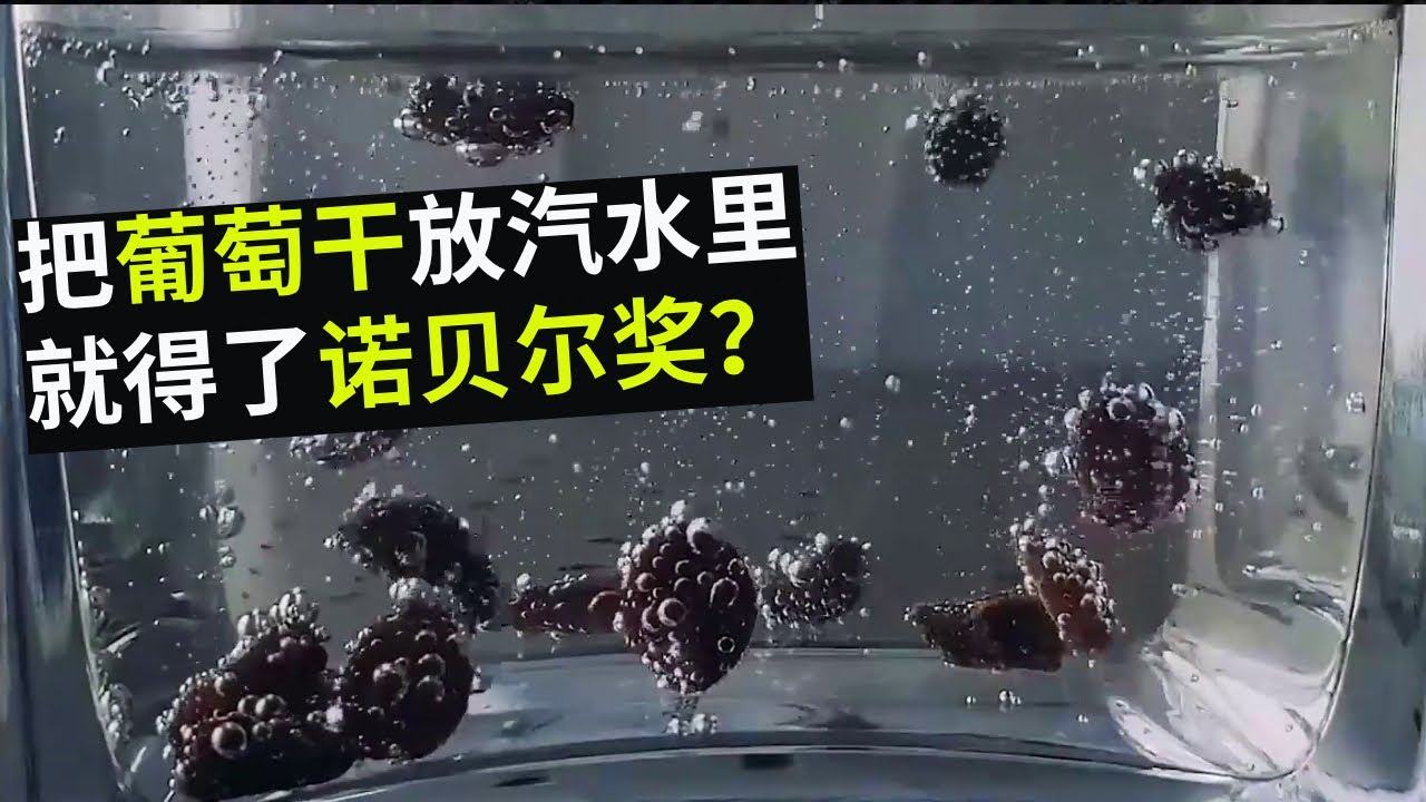 科学家把葡萄干扔进汽水里，有趣的现象发生了，还顺便发了论文！