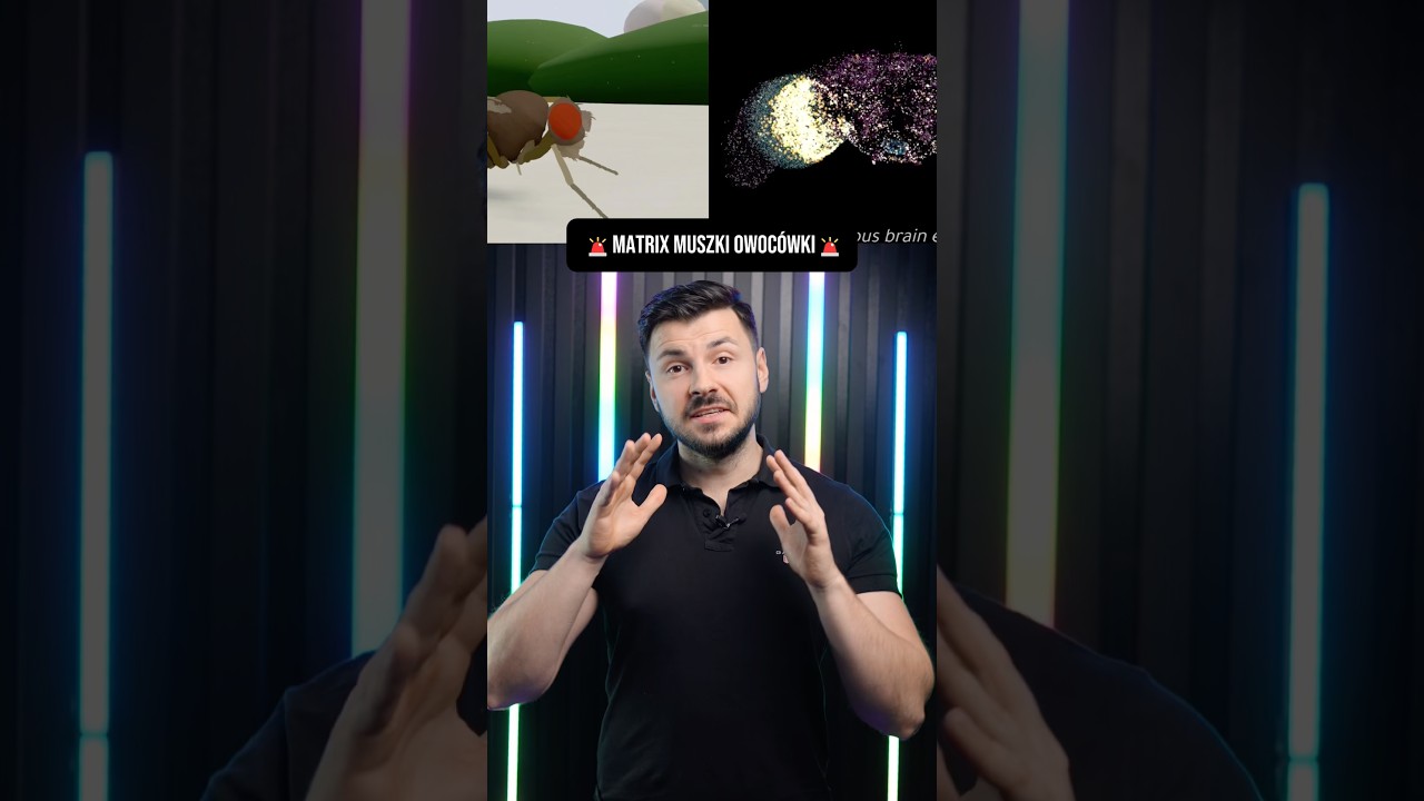 🧠 Skopiowali m&oacute;zg muszki owoc&oacute;wki neuron po neuronie i wrzucili do komputera! Źr&oacute;dło EON Systems