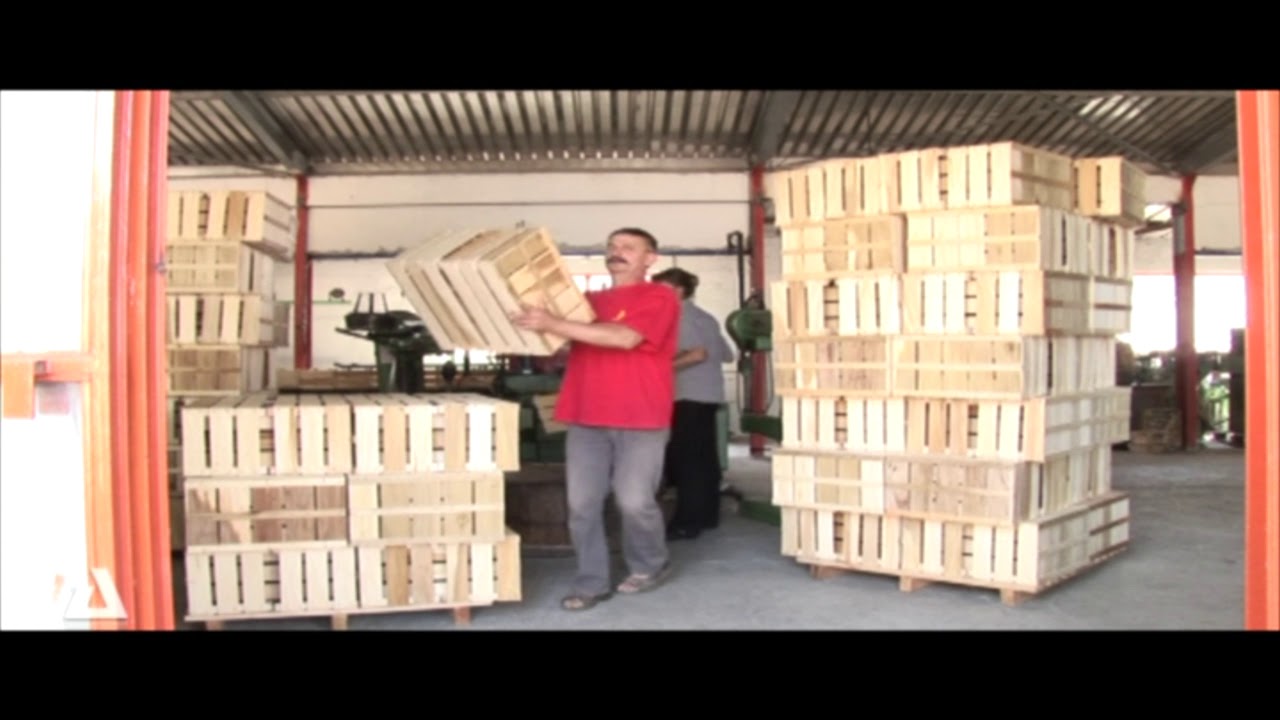 Gajbe euro box Apokalipsa 2019