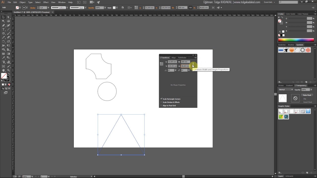 Illustrator Dersleri 7 - Illustrator Transform Paneli
