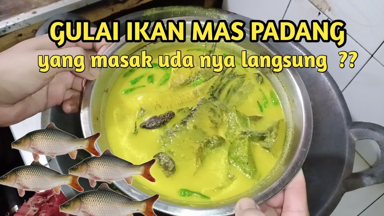 Resep gulai ikan mas padang || langsung masak di tempatnya