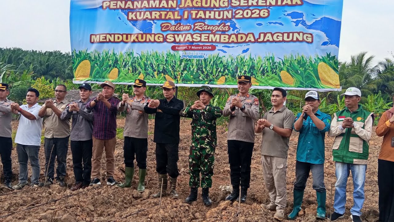 POLRI & PTPN SINERGI! POLSEK LAIS TANAM JAGUNG SERENTAK DI TALANG UCIN