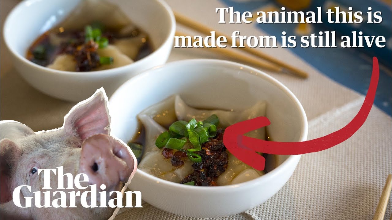 'The animal this is made from is still alive': Guardian Australia taste-test cultivated meat