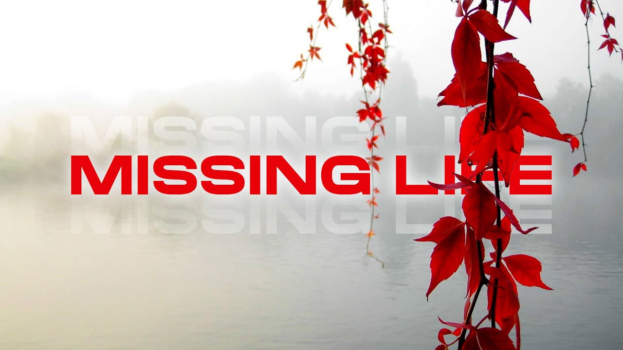 QKReign, gabriawll - Missing Life