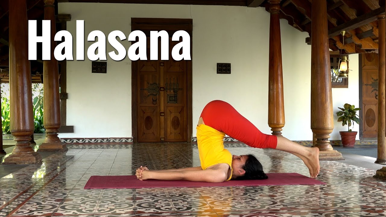 Halasana, the Plow Pose in Yogasana