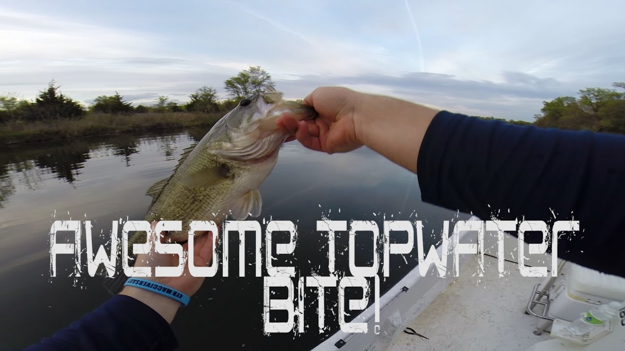 Awesome Topwater Strike!