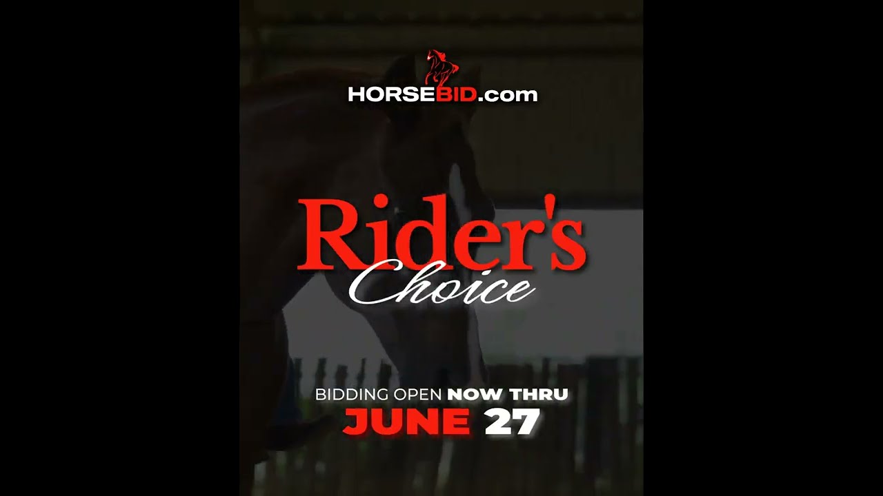 ENDED &diams;️ RIDER'S CHOICE &diams;️ **ending JUNE 27th  on www.horsebid.com**