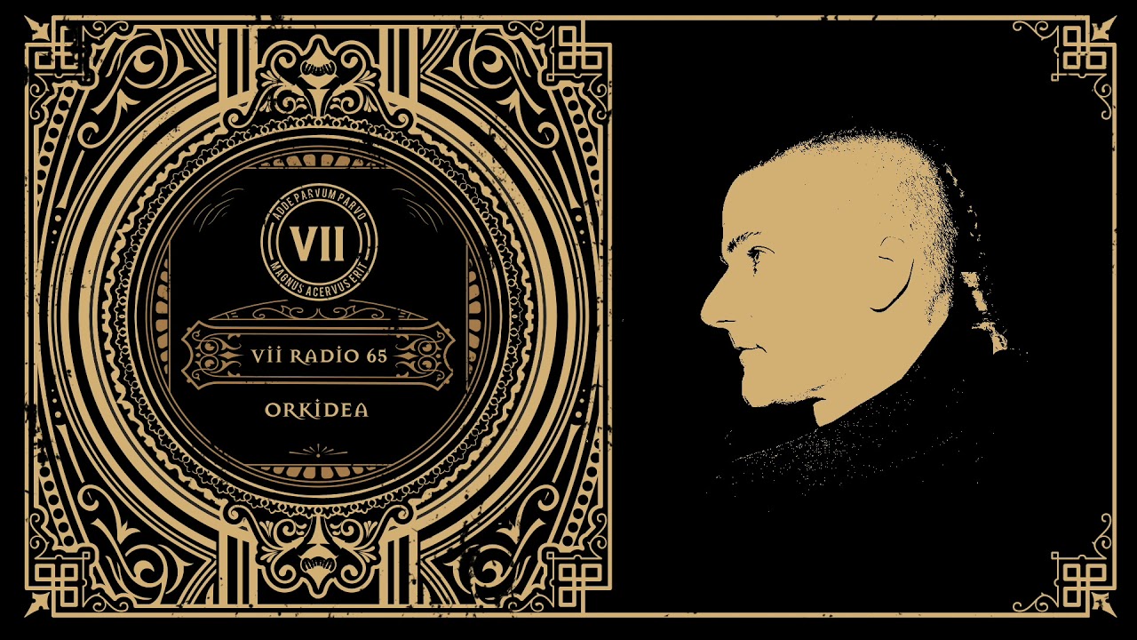 Orkidea - VII Radio 65