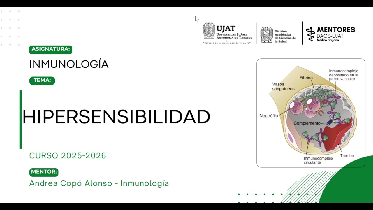 Hipersensibilidad | Tipos I, II, III y IV explicados | Mentorías DACS