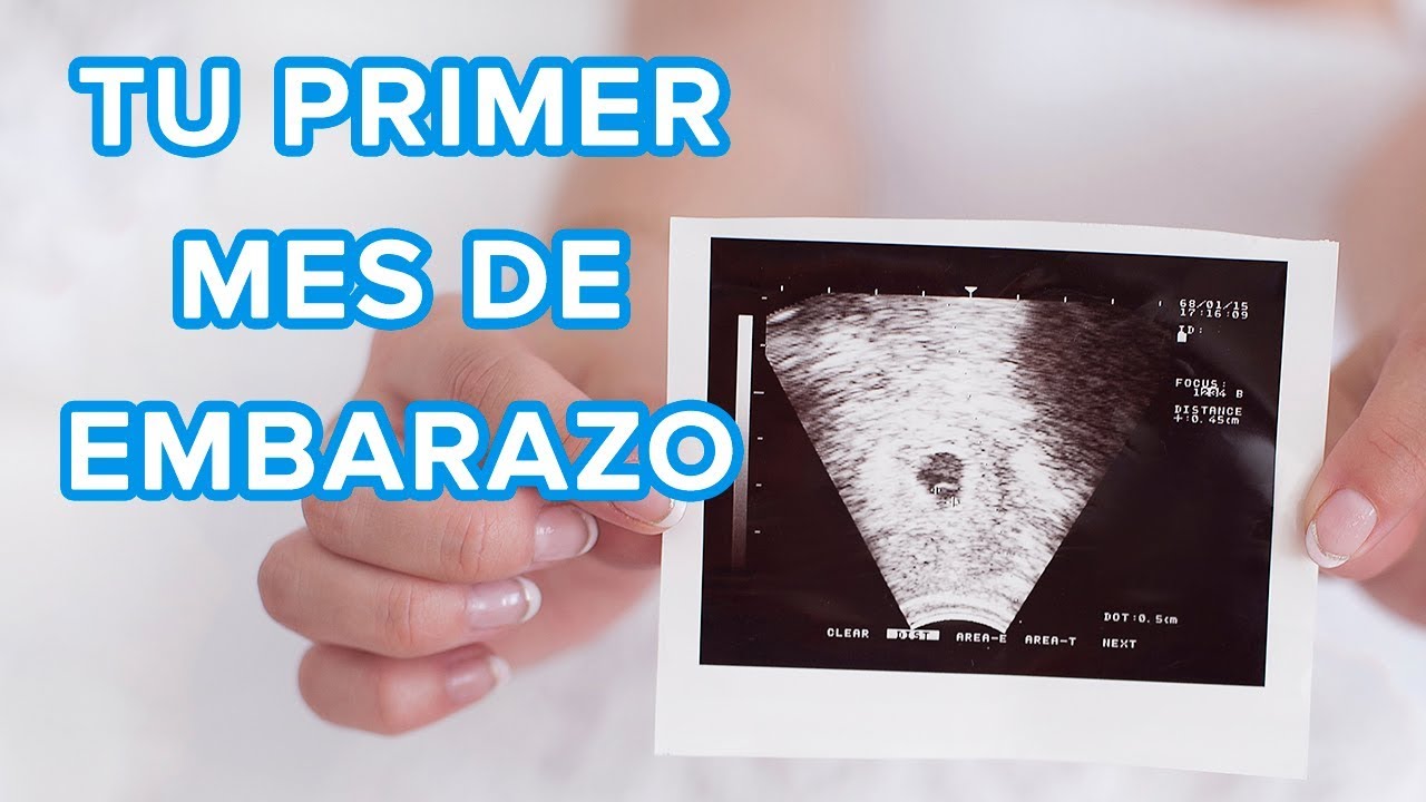 Tu primer mes de embarazo | Así crece tu bebé, así cambia tu cuerpo 🤰