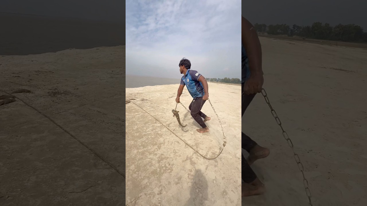 Really Amazing Catfish Bait Throwing Video  #villagefishing  #riverside  #bait