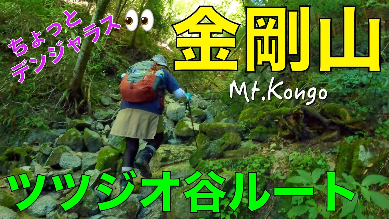 【日本二百名山】金剛山✨（大阪府／奈良県）ツツジオ谷が自然のパワーあふれる道で危険箇所はありますが岩場や急登が好きな方にはおすすめです❣️