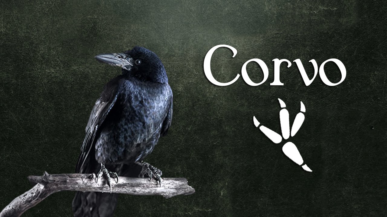 09 - La Medicina del Corvo