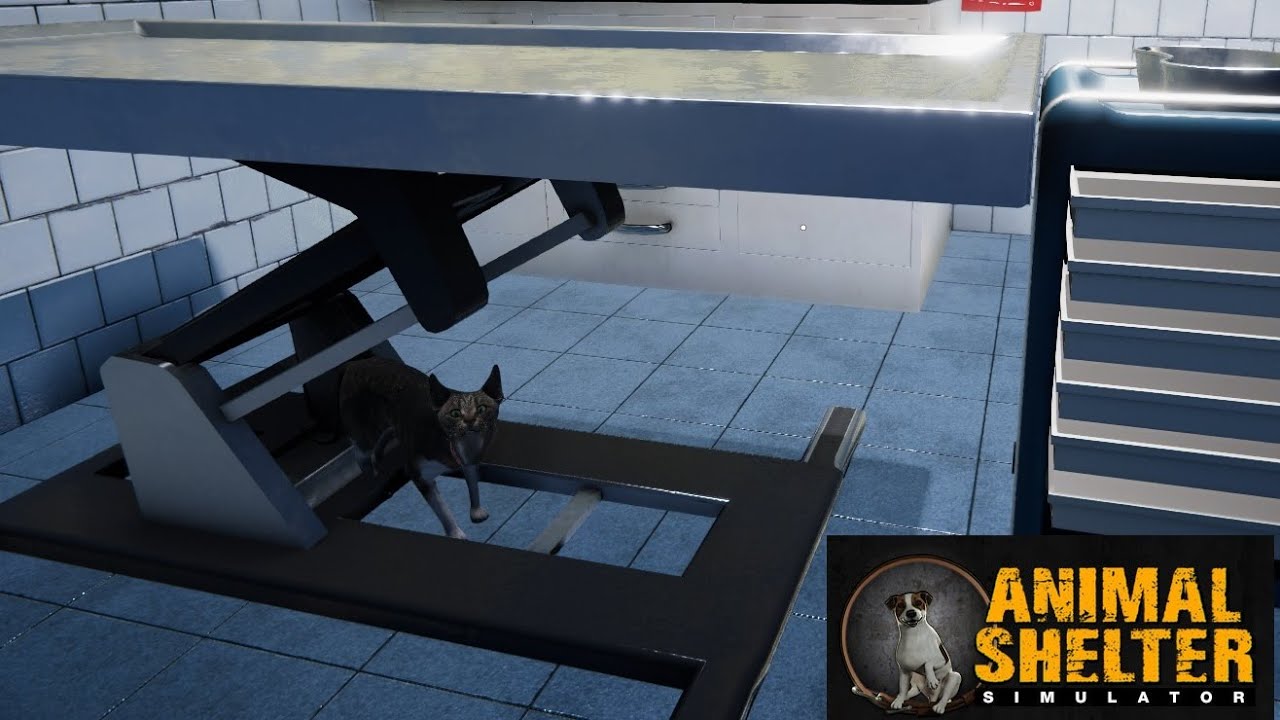 Breaking The Game Helping Animals ~ Animal Shelter Simulator