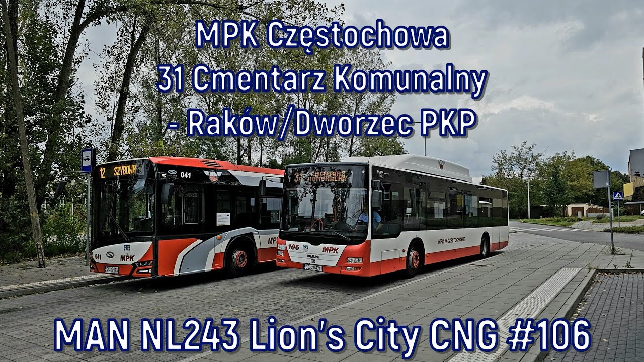 MPK Częstochowa - linia 31, MAN NL243 Lion's City CNG 