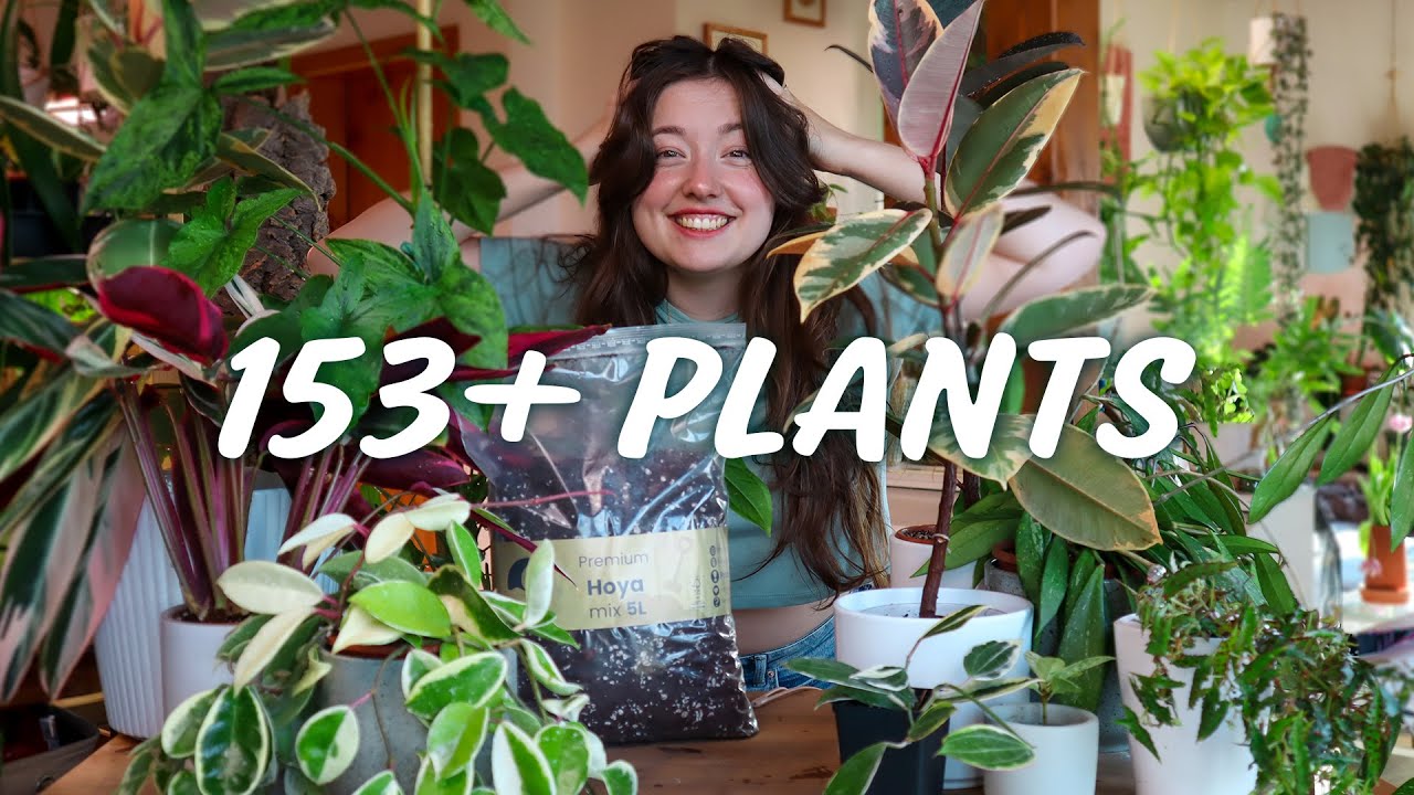 What it's like keeping up with a BIG Houseplant Collection