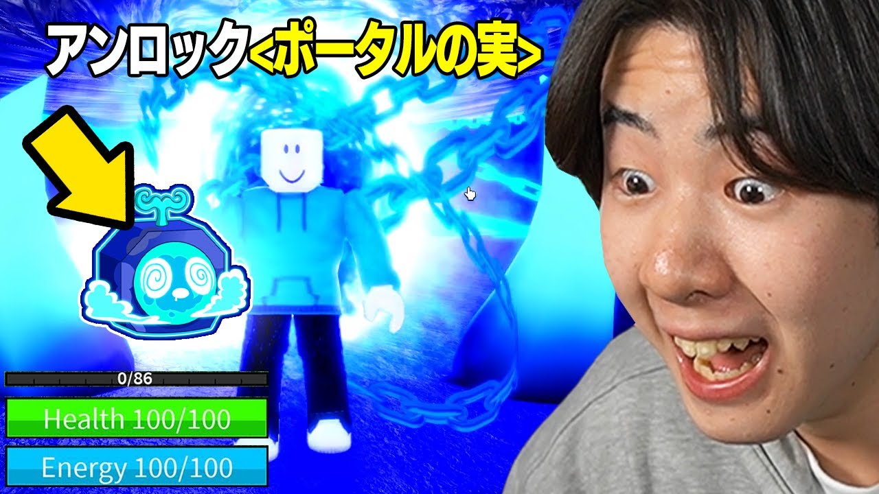ポータルの実を獲得して全技を使ってみたら...【ブロックスフルーツ / BloxFruits】【パート16】