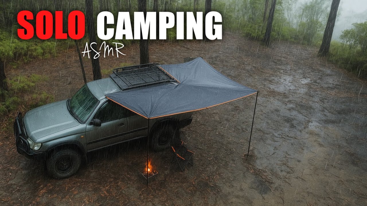 SOLO RAINY BUSH CAMP | COFFS HARBOUR | ASMR⛺️🌧️