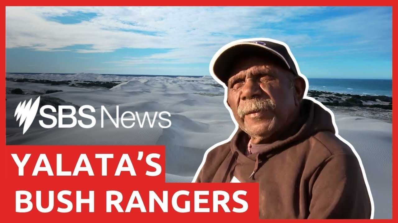 Meet the Yalata Rangers who monitor the Indigenous Protected Area with drones