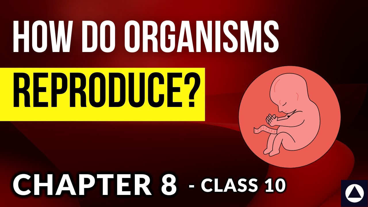 How do Organisms Reproduce - Chapter 8 Audiobook | NCERT Complete Chapter Reading Class 10 |One-Shot