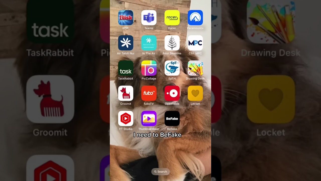I think I found my new favorite app&hellip;. Because now I&rsquo;m hanging with Harry. #bereal #befake 😂