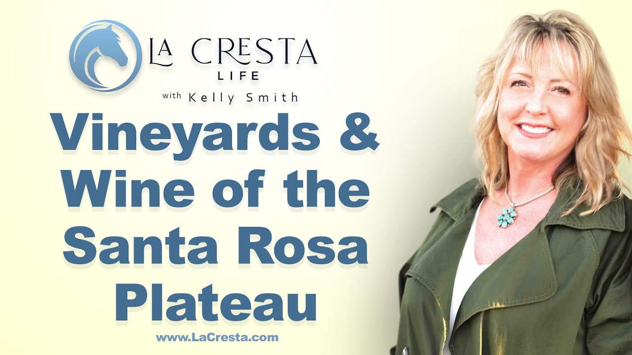 Vineyards & Wine of the Santa Rosa Plateau