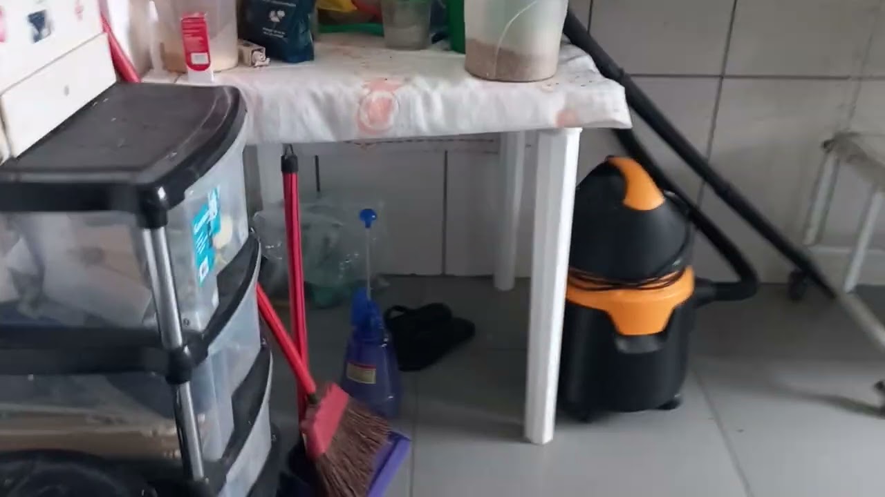 vou dar milho pro canários