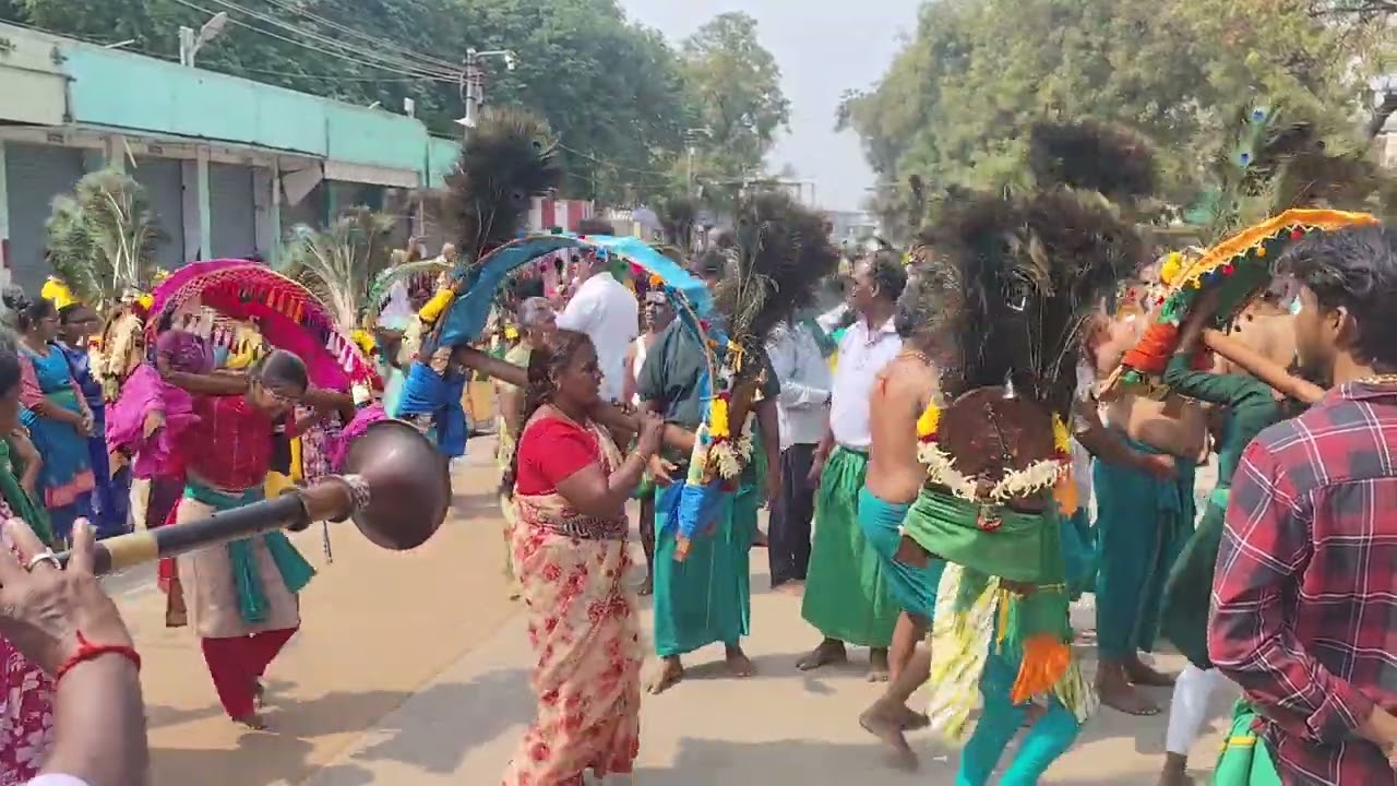 Palani andavar pathayathirai kulu 20th year 