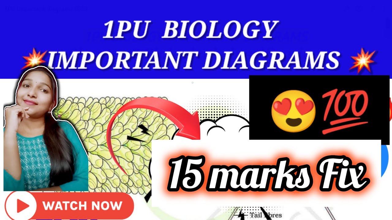 💥15 marks Fix 💯||1PU Biology IMPORTANT DIAGRAMS💥EXAM 2024|Easy to score Don't miss@biostudymadeeasy