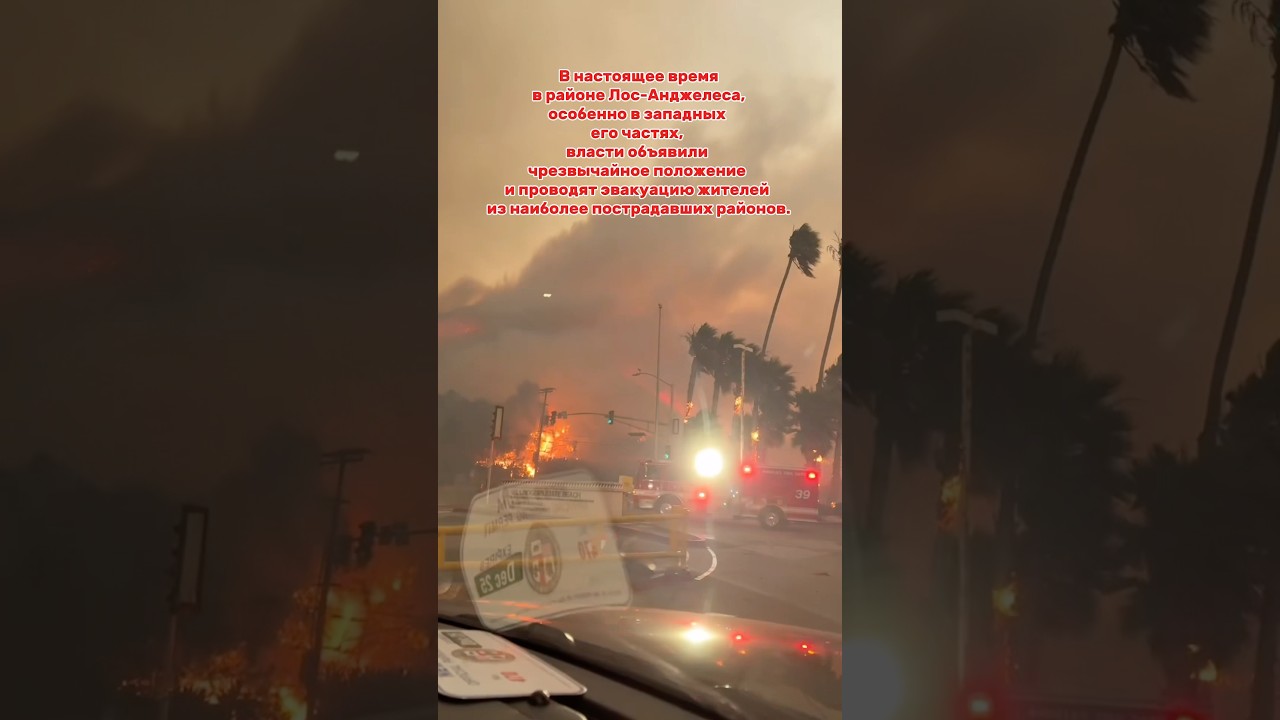 Лос Анджелес в огне. Большой пожар Pacific Palisades #losangelesfire #pacificpalisades