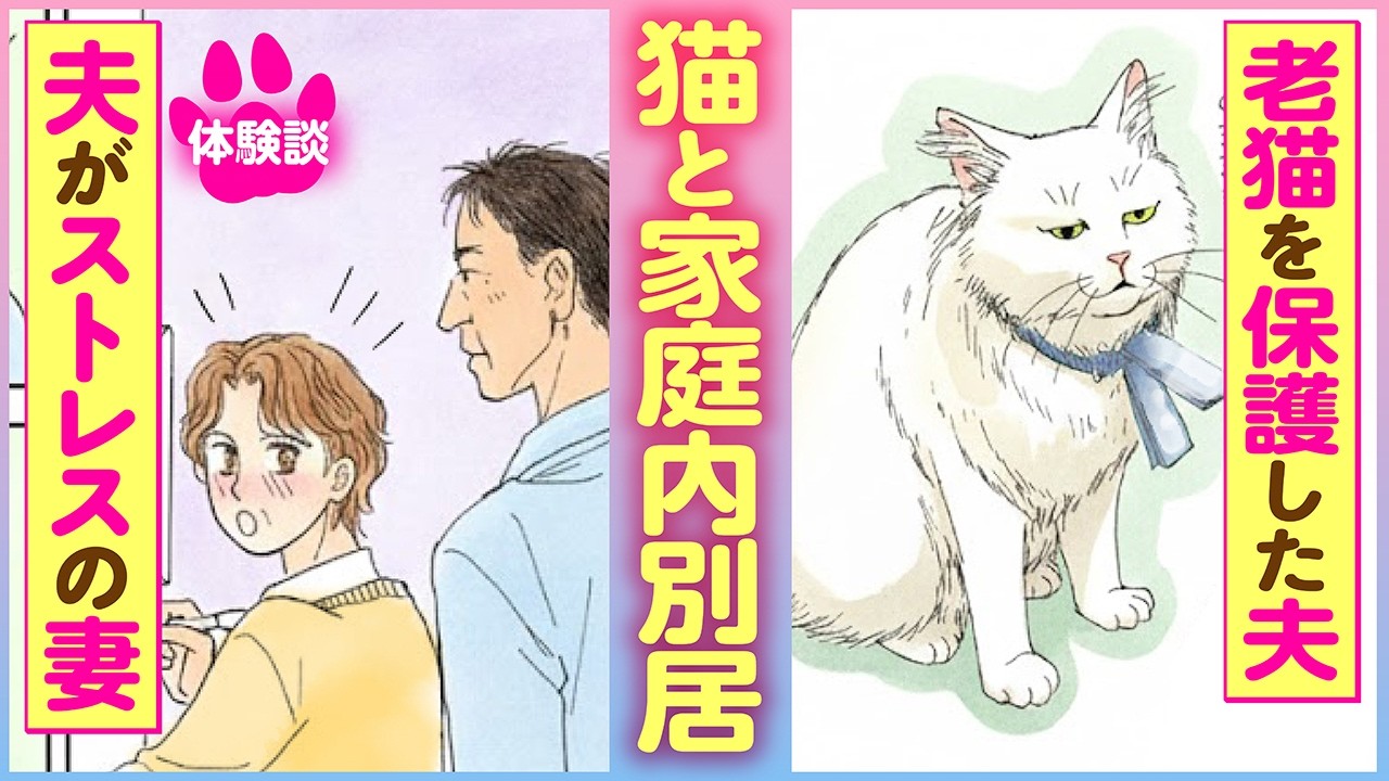 【ネコまんが】家庭内別居をしていた夫婦の元に現れた、11歳の老猫が起こした奇跡