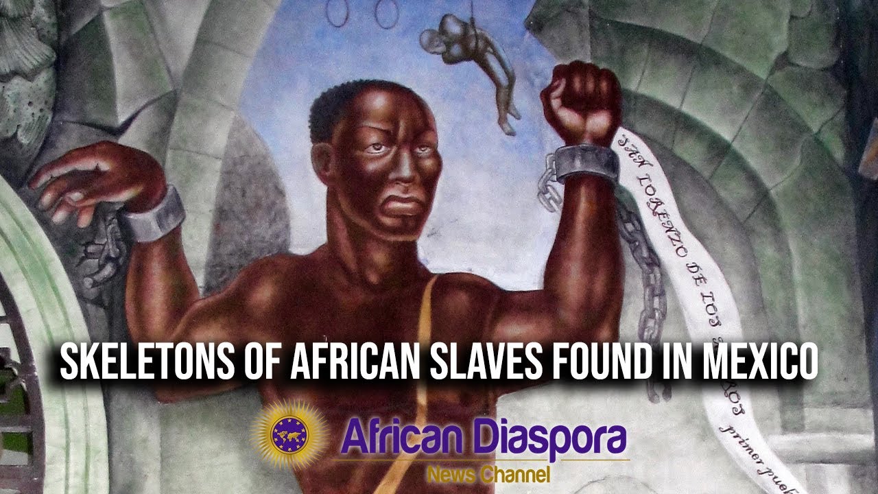 Skeletons From African Slaves Found In Mexico Tell The Story Of Enslavement In Latin America