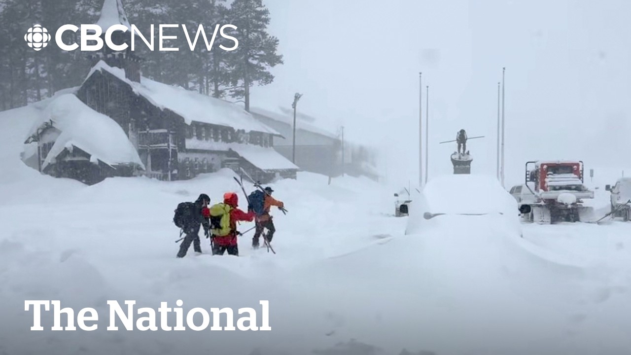 Bodies of 8 skiers found after Northern California avalanche