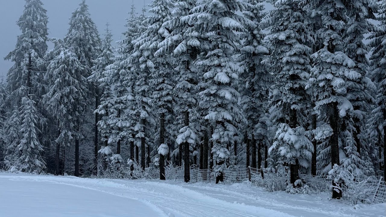 Горнолыжный курорт Винтерберг 31.01.26 (Skiliftkarussell) расположен в Зауэрланде.