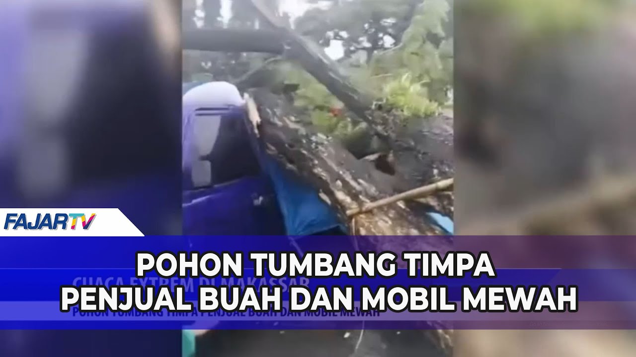 POHON TUMBANG TIMPA PENJUAL BUAH DAN MOBIL MEWAH