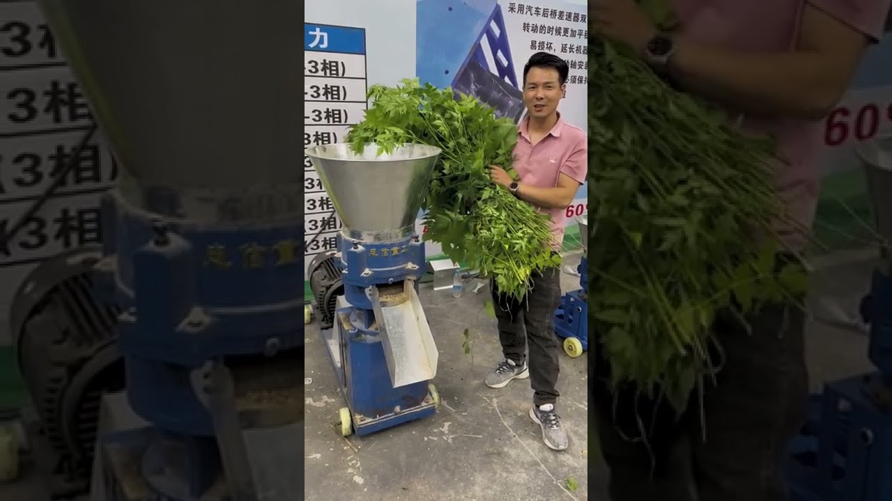 Granulator Pellet machine Granulator#grinder #agricultural machinery