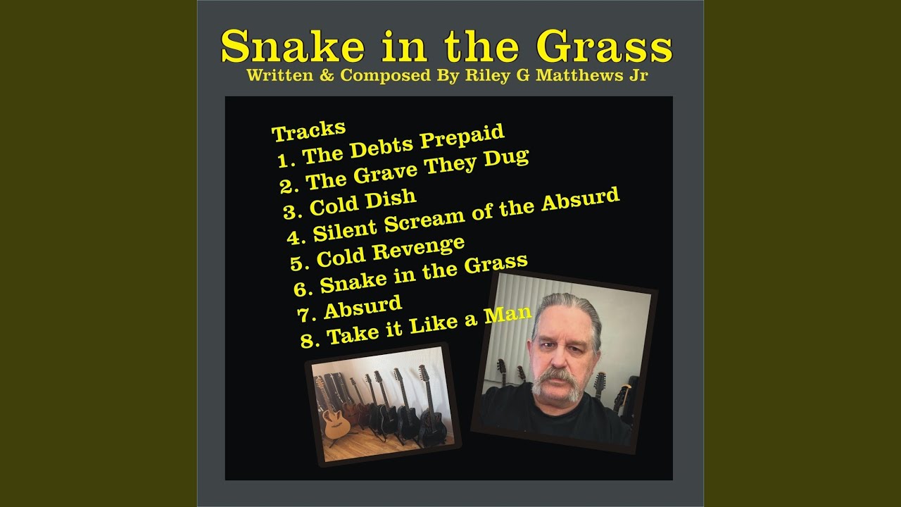 Snake in the Grass (Live)