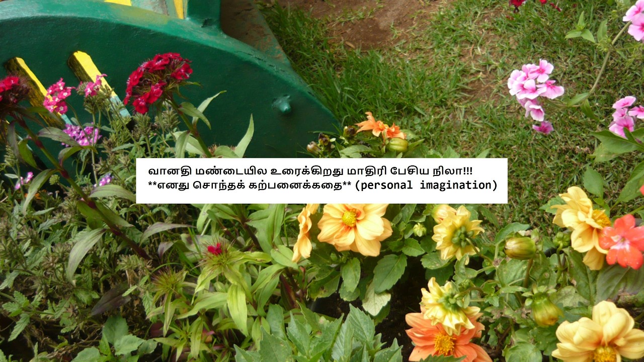 Ayyanar Thunai - Promo 23rd to 28th February 2026 - Shocking Twist! Promo Review Tamil Vijay TV