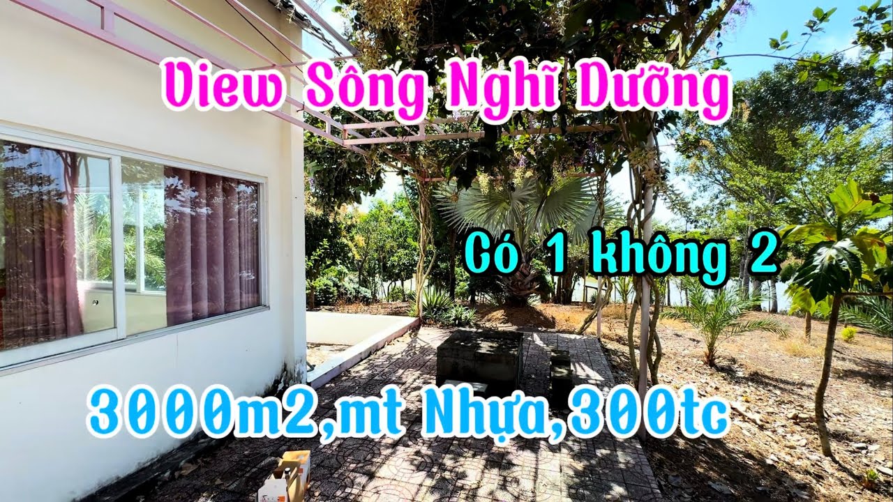 Mảnh nhà vườn view sông siêu đẹp,phù hợp nghĩ dưỡng cuối tuần,mảnh này cực hiếm mời anh chị xem